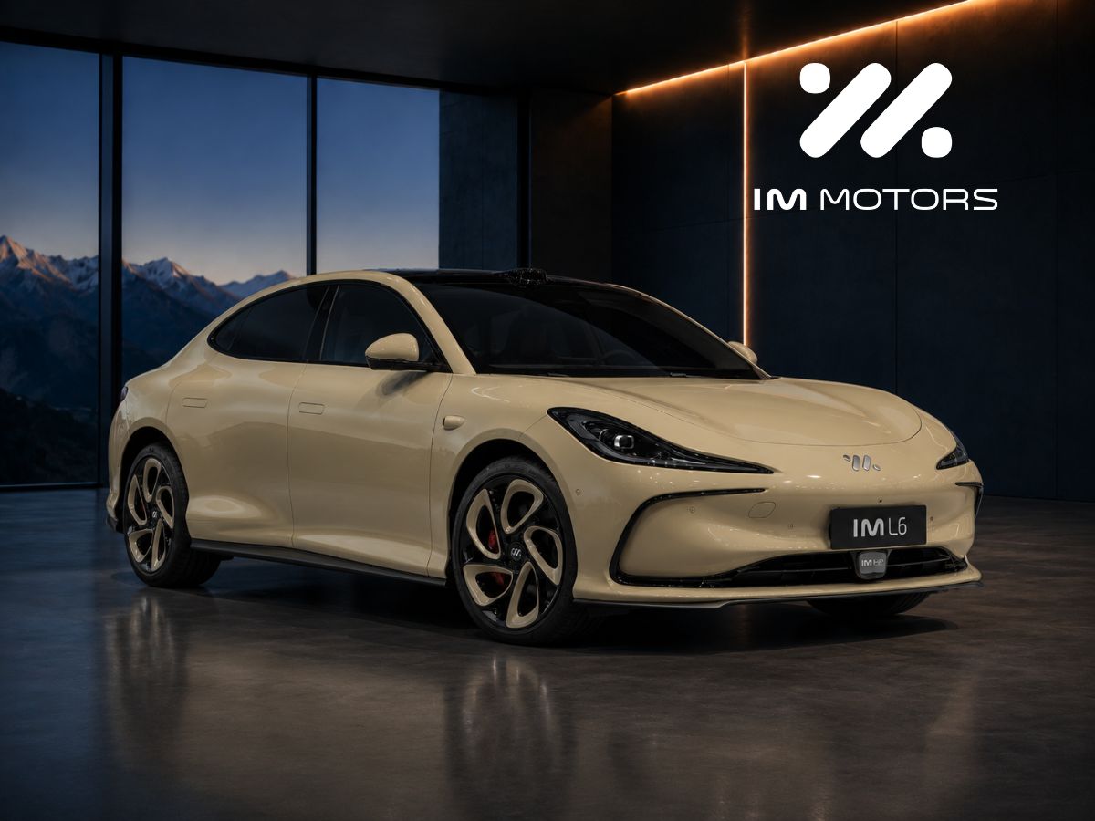 IM Motors